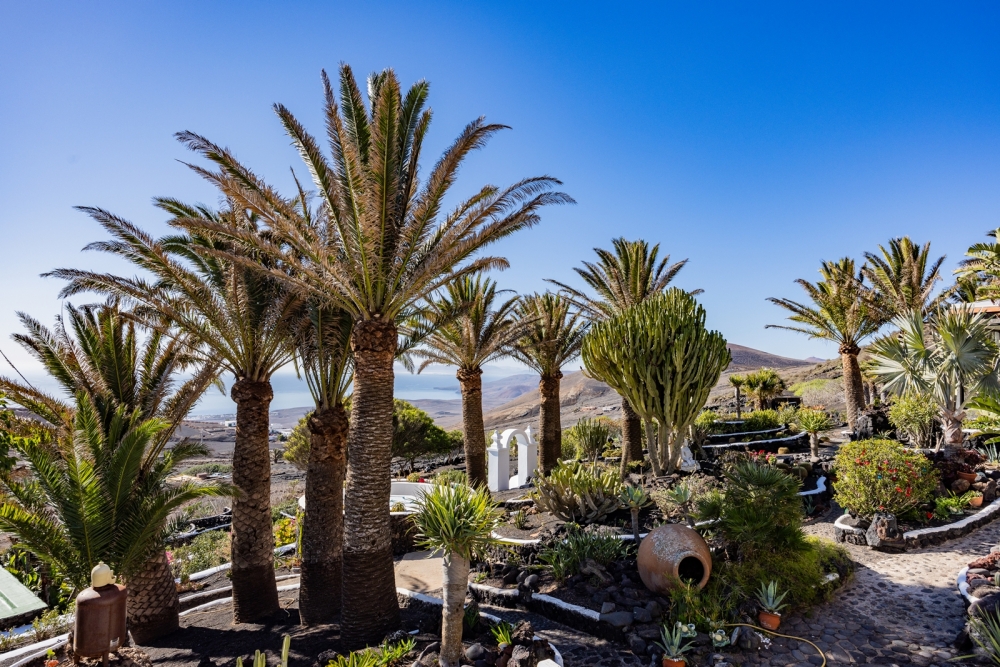 Unique 40,000 m² Estate with Panoramic Views – Lanzarote – photo 17