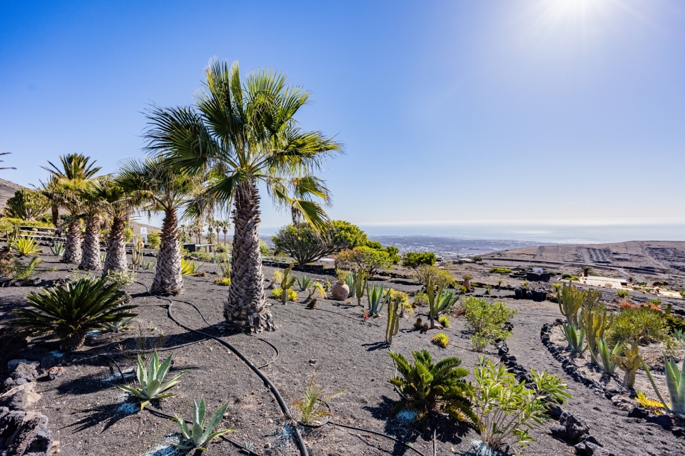 Unique 40,000 m² Estate with Panoramic Views – Lanzarote – photo 28