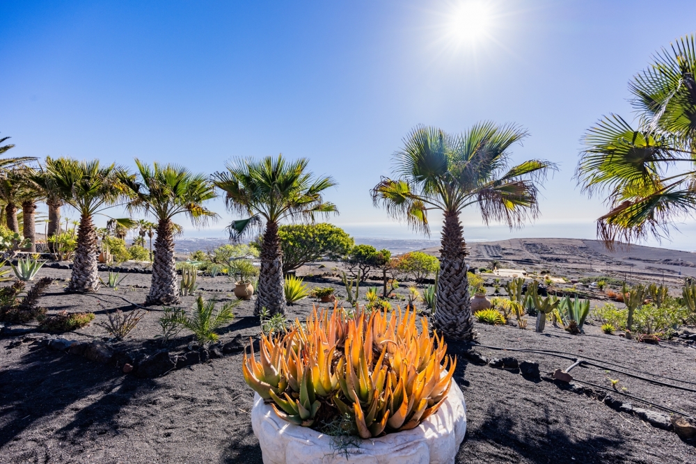 Unique 40,000 m² Estate with Panoramic Views – Lanzarote – photo 16