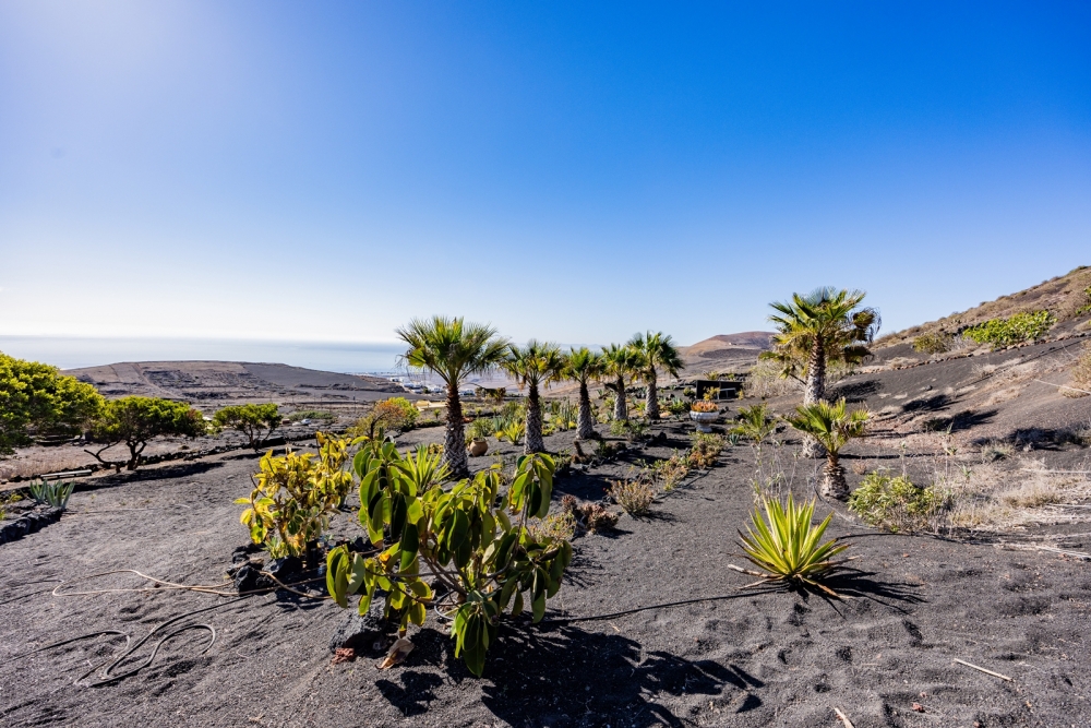 Unique 40,000 m² Estate with Panoramic Views – Lanzarote – photo 13